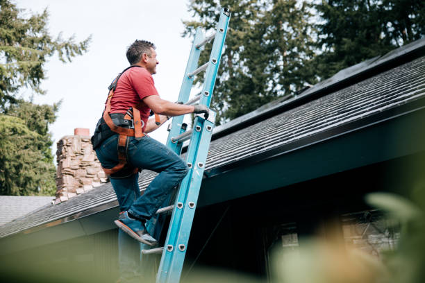 Best Roof Moss and Algae Removal  in Inverness Highlands North, FL