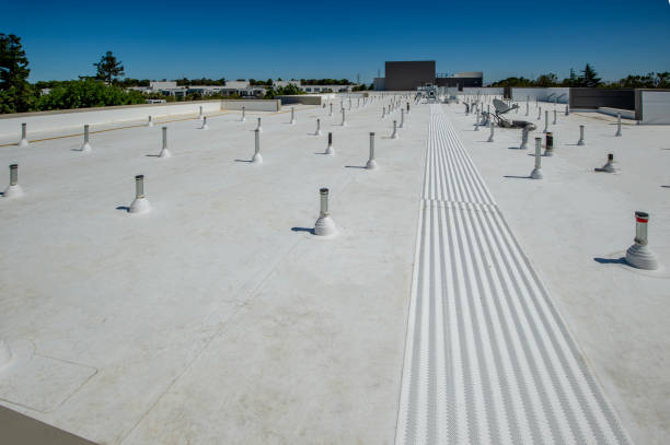 Best Gutter Installation and Repair  in Inverness Highlands North, FL